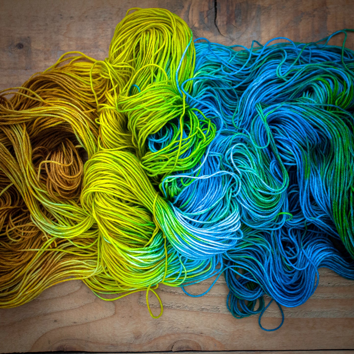 "Hidden Treasures" - hand dyed yarn