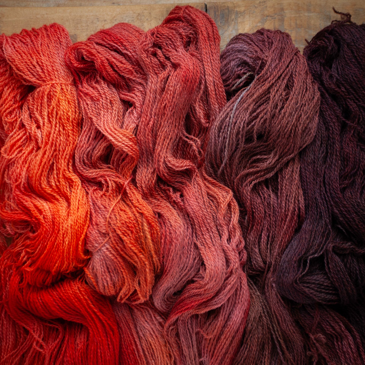 Gradient set of 5 skeins - Bluefaced Leicester (BFL)/Fine Masham 4ply hand dyed yarn - sweater or shawl set - Ready to Ship