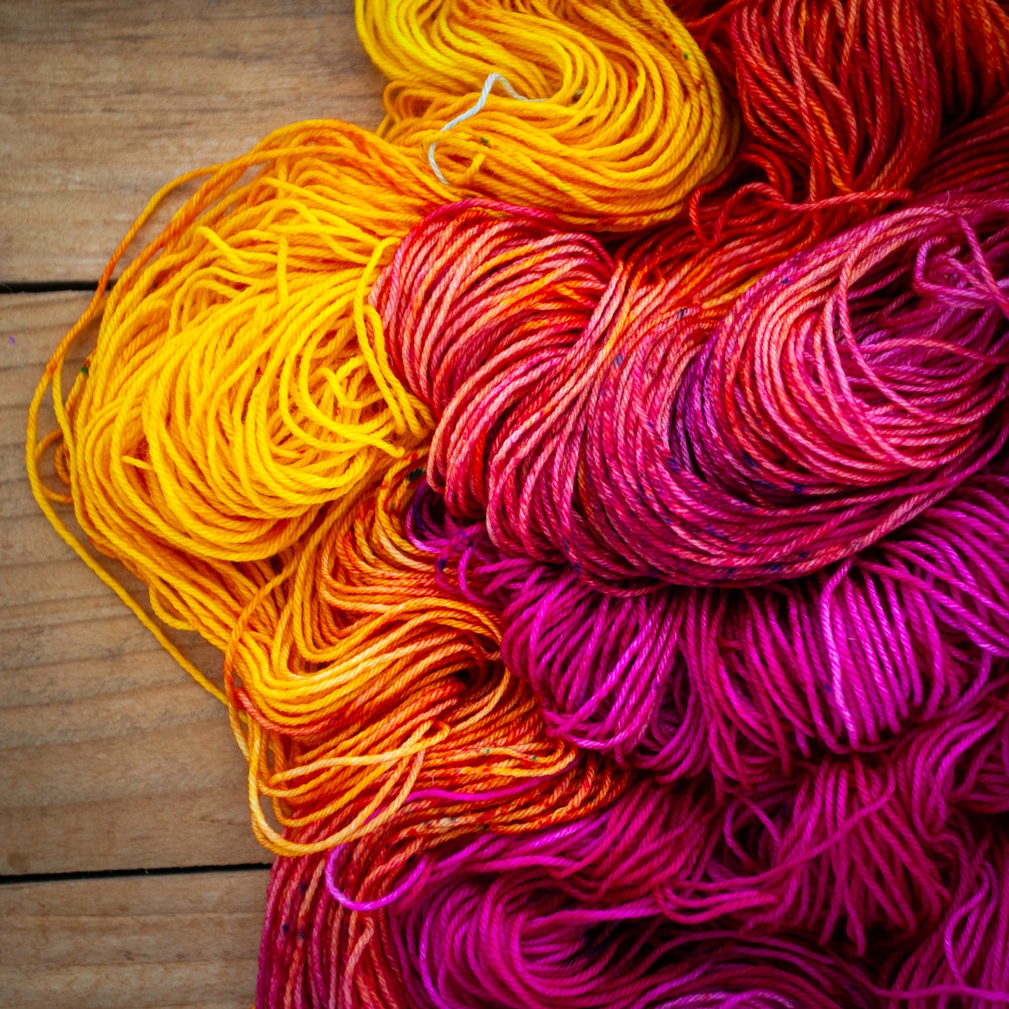 100% Superwash Bluefaced Leicester - DK weight - hand dyed yarn - Ready to Ship