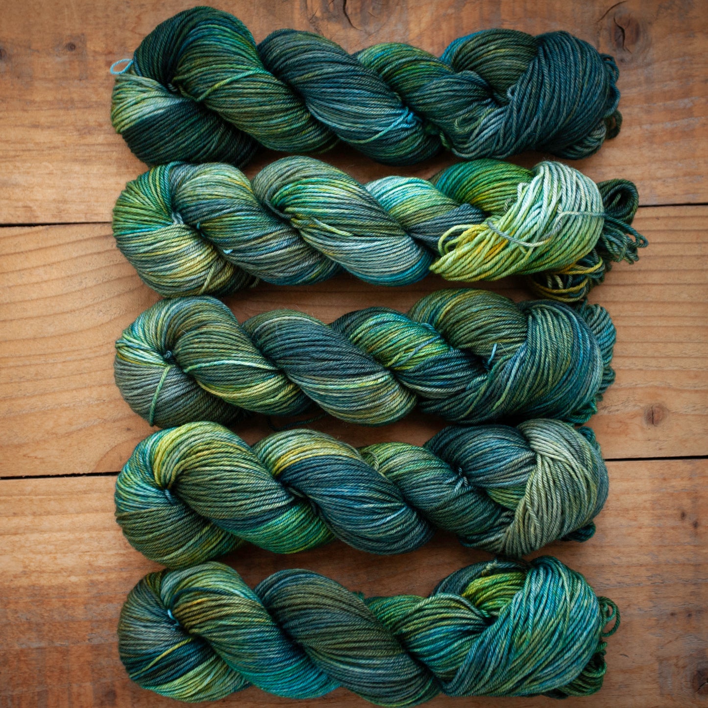 100% Superwash Bluefaced Leicester - DK weight - hand dyed yarn - Ready to Ship