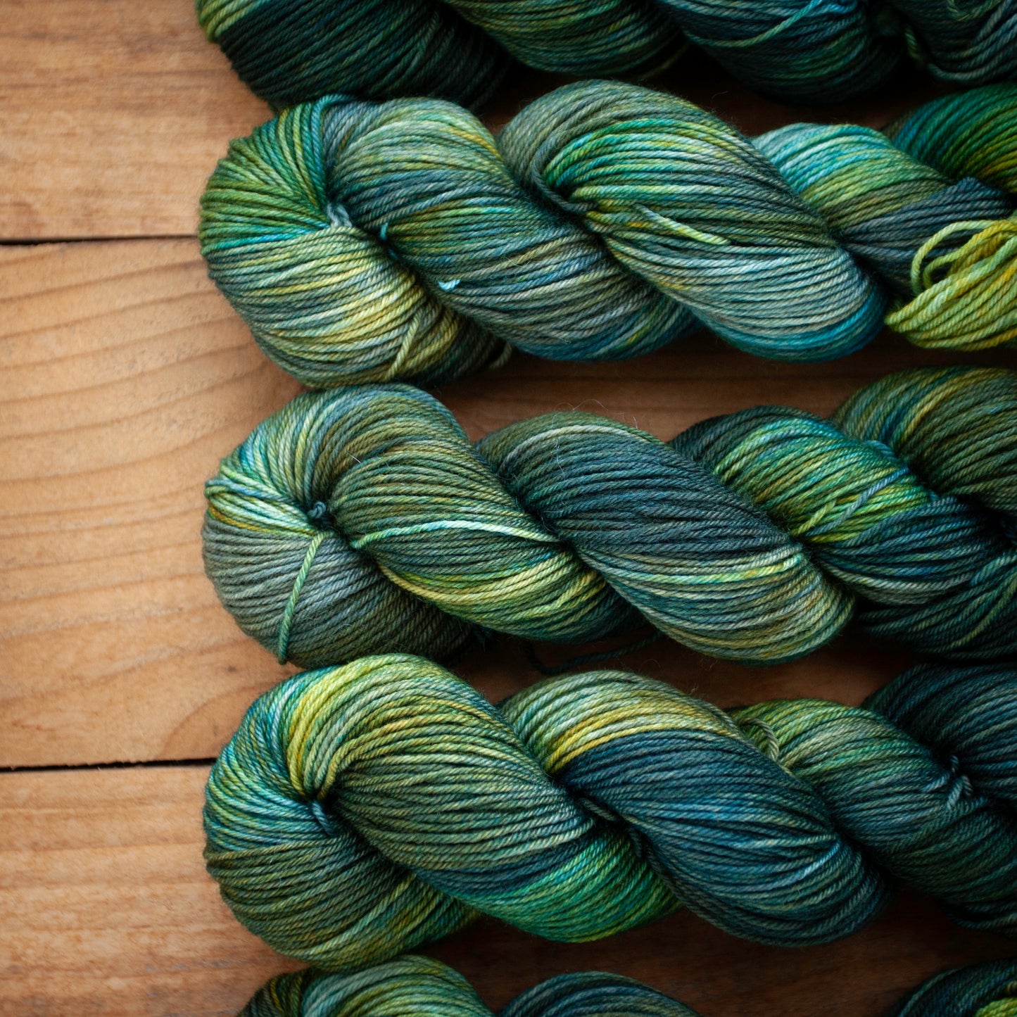 100% Superwash Bluefaced Leicester - DK weight - hand dyed yarn - Ready to Ship